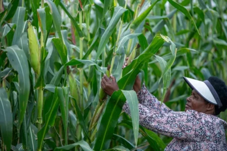 Eglyne Chepchirchir Choge, a farmer from Trans-Nzoia County