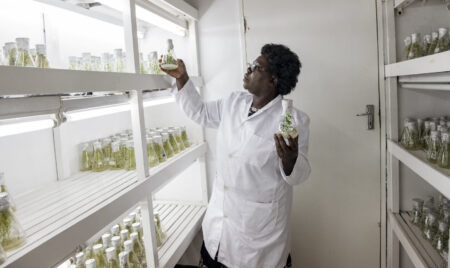 CGIAR's Kenya hub will scale agricultural innovation, improving food security for millions in East Africa.