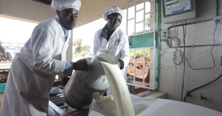 Kenyans holding a bucket of milk