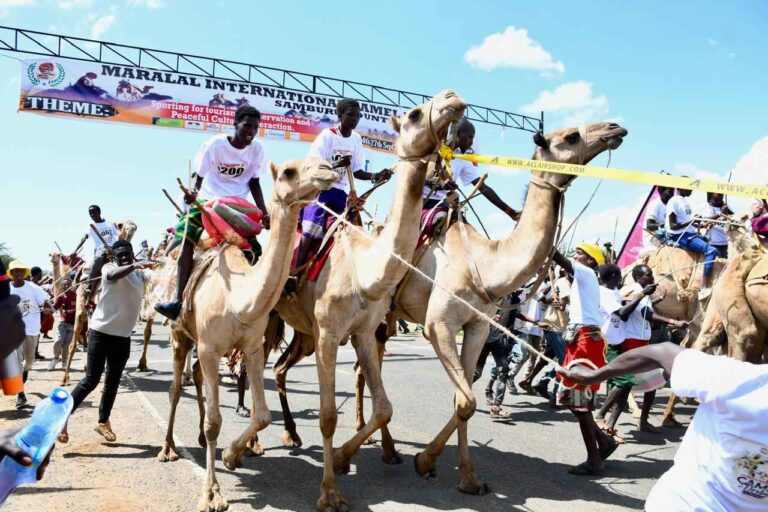 Camel racers and cultural performers at the 32nd Maralal International Camel Derby in Maralal town, Samburu County.