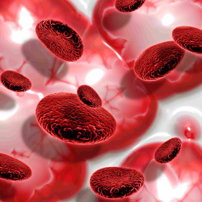 3d render of blood cells on abstract background