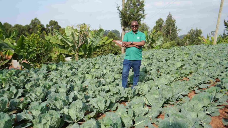 Boost Africa + Shamba Pride: How Strategic Funding Is Revolutionising Smallholder Farming in Kenya Samuel Munguti, founder of Shamba Pride, empowering Kenyan farmers through DigiShops
