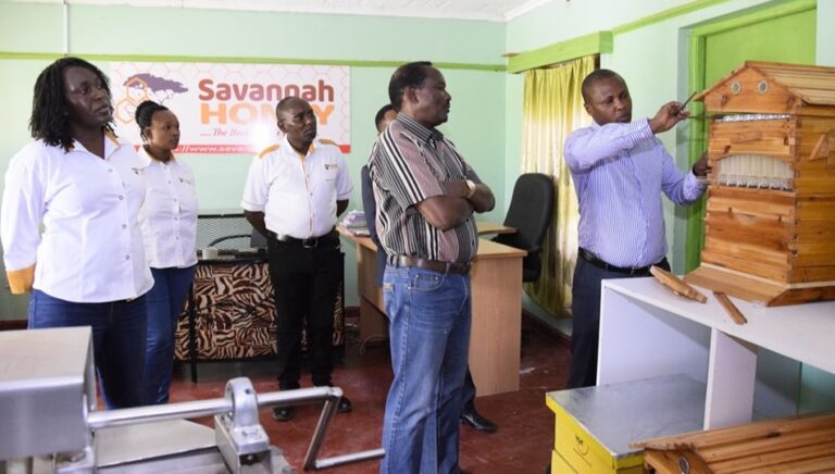 Savannah Honey CEO Kyalo Mutua showcasing modern beekeeping equipment in Kenya