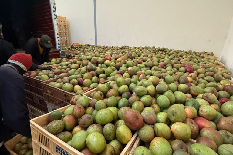 Murang’a Governor Irungu Kang’ata issues advisory to mango farmers after market glut, highlighting value chain resilience and partnership with Food for Education.