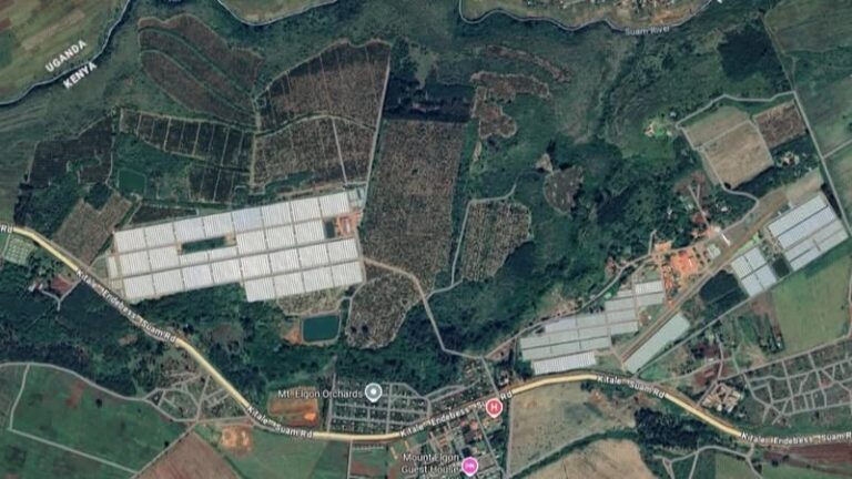 Satellite map of Mt Elgon Orchards showing the Suam River and Kenya Uganda border